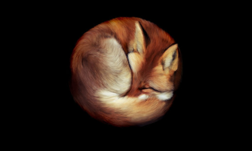 682087 (a): :2000x1200